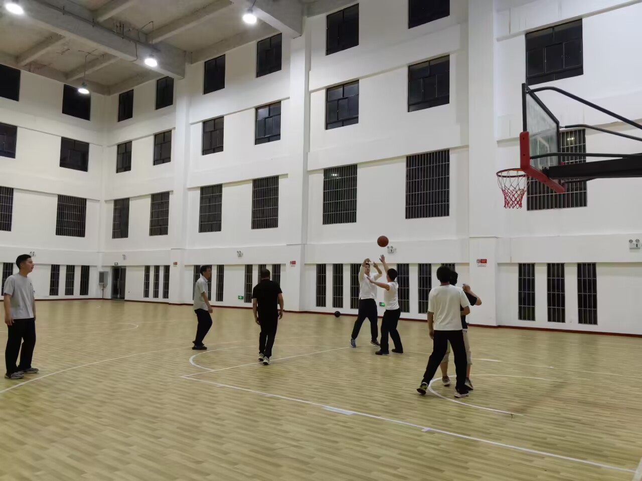 image11.jpeg